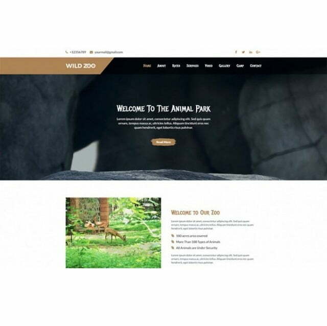 Wild Zoo One Page – HTML Template Wild Zoo One Page – HTML Template